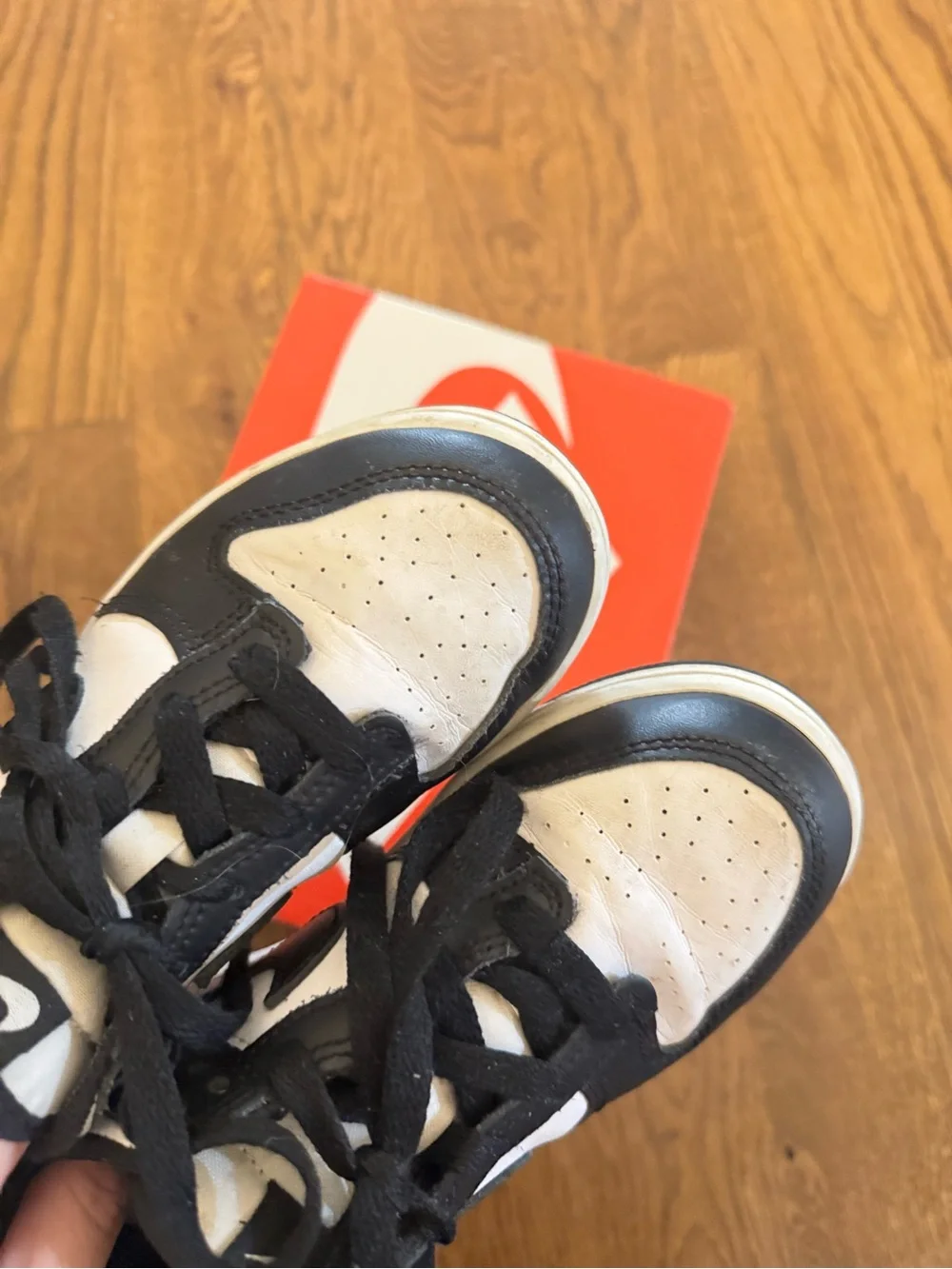 Nike low dunks